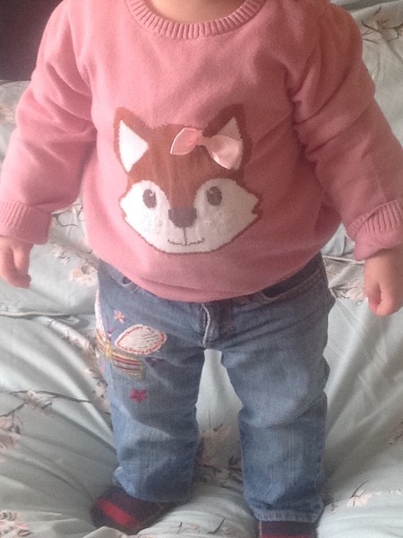 HV has told me that my 20 month old DD is overweight. I'm at a loss