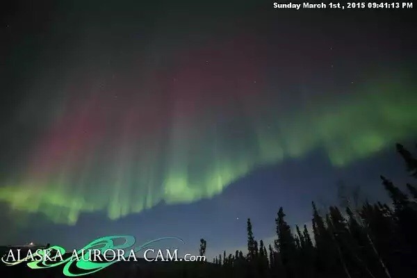 Armchair aurora watching