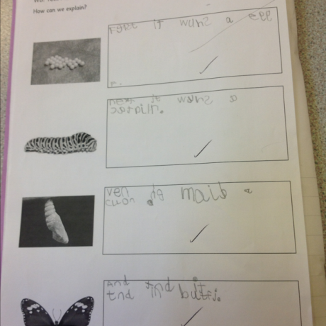 Writing 5 year old boy, reception. Worried!