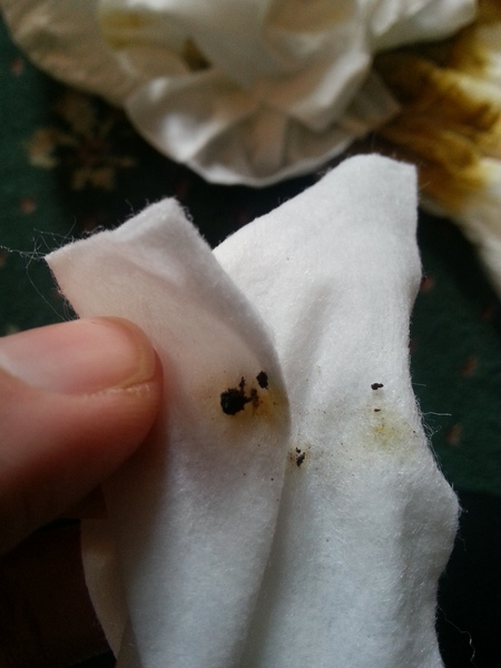 aibu to tell everyone I meet....