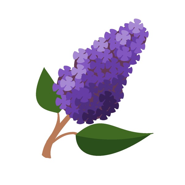 Wearing the lilac.