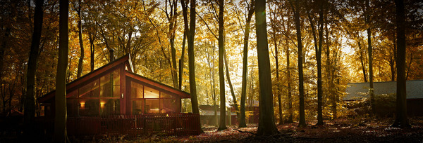 Conservation Holidays