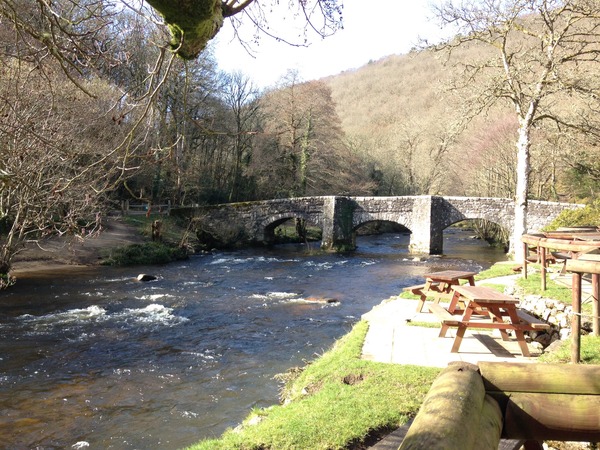 Moving to Devon from Essex - please help my family!!