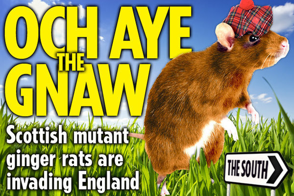to think this is unacceptable and wonder why Scotland is fair game for racist attacks like this
