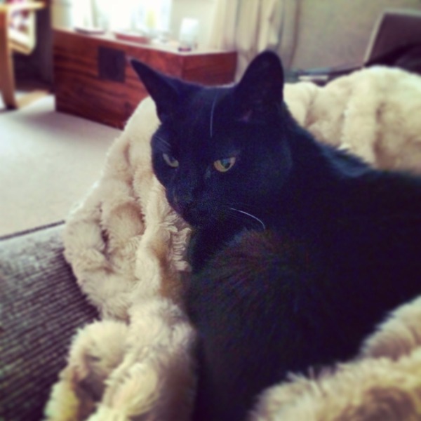 Recurrent Miscarriage Support Thread 20 - tests, treatment, trying again.