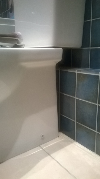 Things you would NEVER want in your house: