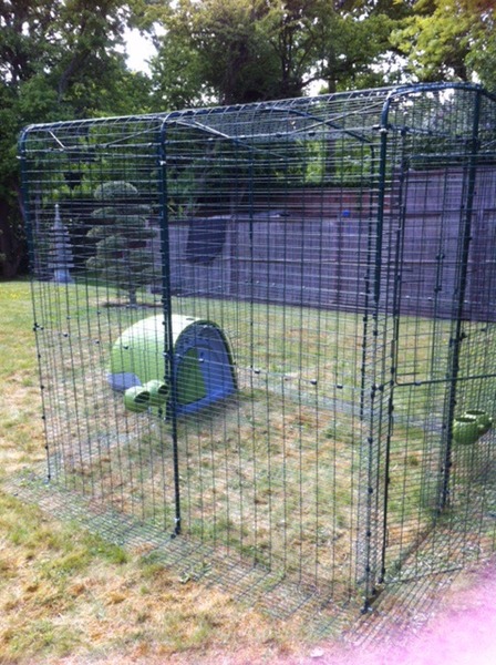 Eglu Classic and 2mx2m run FOR SALE