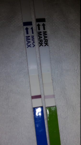 We let our miroids tie us up, and pee while we're in the tub, and the grads often visit, so we can give their bumps a rub! We've a syncro pee approaching, so here's hoping, for a BFP filled JS No 42!!