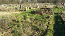 The 2015 Allotment / Veg Patch Thread - it's here!