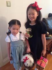 World Book Day costumes - share pics of this year's costumes to win a bumper crop of WBD goodies.