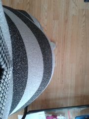 The best shit place to be grads - Early pregnancy after miscarriage - hopes and fears