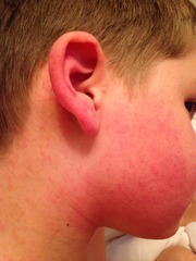 Does anybody know what this looks like