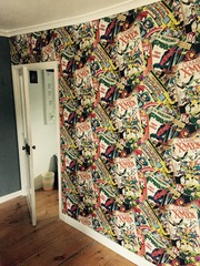 Ideas for cool bedroom for 11yo DS
