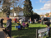 Fight 12.5m telephone mast for Park Road - 20 days to respond