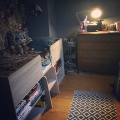 Ideas for cool bedroom for 11yo DS