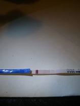 Life's a bitch but we keep on shagging! We've stocked up on gin and pics of cats! If your Miroid can't give you the big "O" then LTB and come join us! 50 shade's got nothing on us! It's JS'ing 40!!!!!