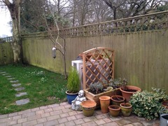 What to do with my garden fence?