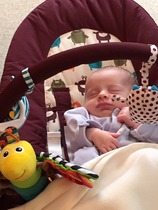 Just Mumming Along (Viroids 4)