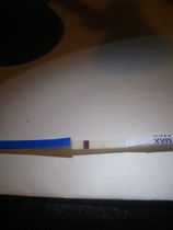 Life's a bitch but we keep on shagging! We've stocked up on gin and pics of cats! If your Miroid can't give you the big "O" then LTB and come join us! 50 shade's got nothing on us! It's JS'ing 40!!!!!