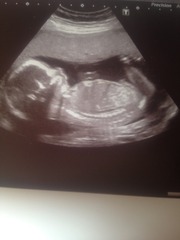 Boy or girl find out on wenesday