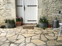 "In the spring, at the end of the day, you should smell like dirt."  This month's discussion in the potting shed.