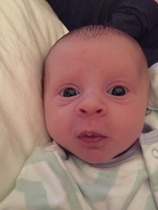 Just Mumming Along (Viroids 4)