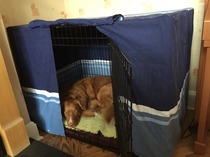 Cage cover recommendations please?