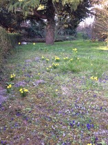 When the hounds of spring are on winter's traces…...