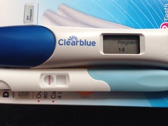 IM PREGNANT!!