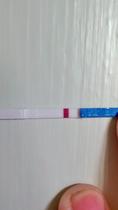 9dpo, and testing has started!