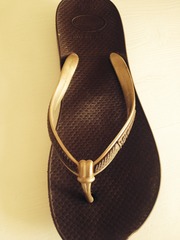 Can anyone help me find these Havaianas?