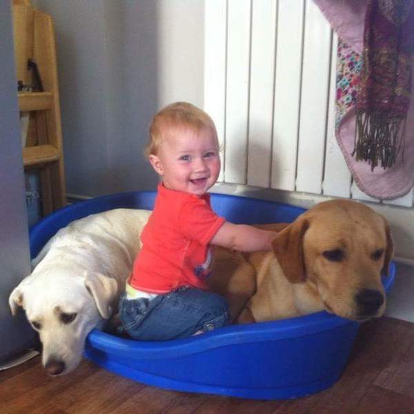 poor dog is in the vets and doesnt look good :(