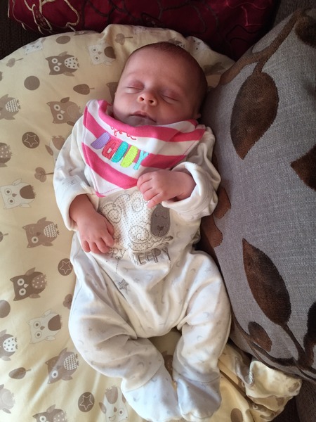 Just Mumming Along (Viroids 4)