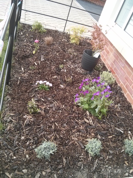 Will my garden grow??