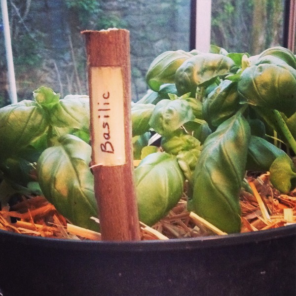 We aint no April Frugalling Fools.. There may be Showers ahead, but we'll sail through together ...