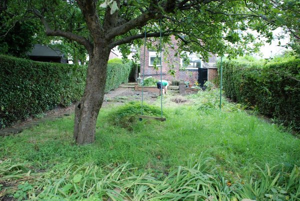 The 2015 Allotment / Veg Patch Thread Part 2