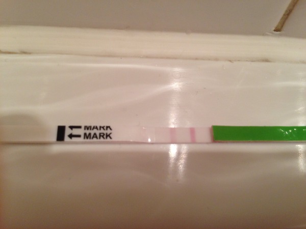 Our new greeting cards are here! We're making vaginal butter and baking in a sneaky shag from behind. Our skittletits can't hold us back - it's JS'ing 43!