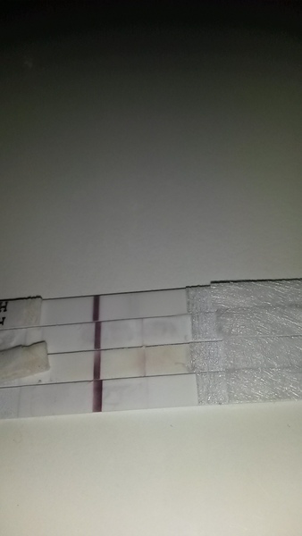 Evaporation line?
