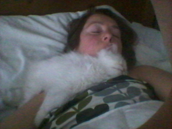 kitten has funny preferred sleeping place..