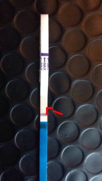 Positive test or evap?
