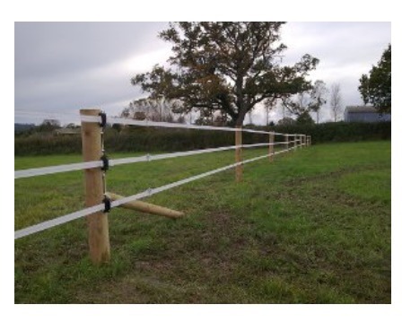 Waahhhh! Have just viewed the perfect paddock for sale...