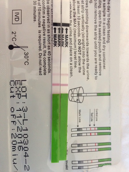 soy isoflavones or agnus castnus?