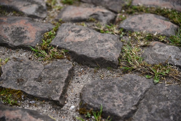 MN Peloton's Road Racing Spring Classics 2015 - trois, deux, un..