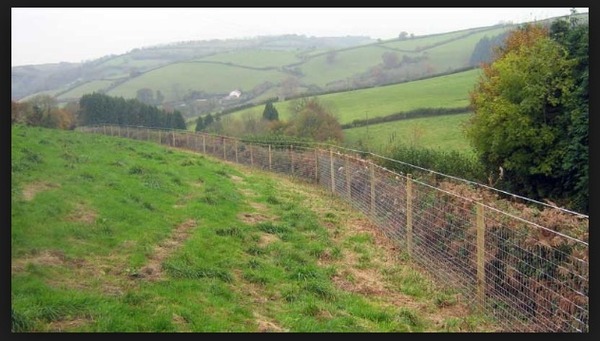Waahhhh! Have just viewed the perfect paddock for sale...