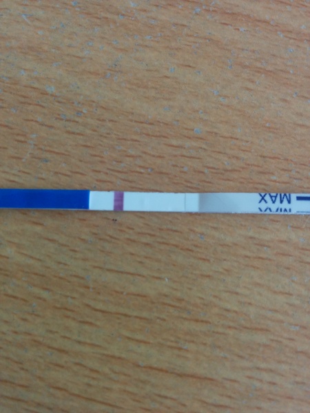 Our super healthy fanjos just love getting their five a day but we draw the line at frozen poopsicles. We're the 25th JS Grads!