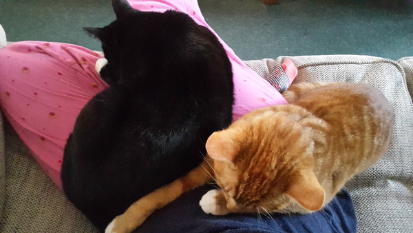 The September crew fly through to the second trimester, baby bumps galore! :) (Thread 7)