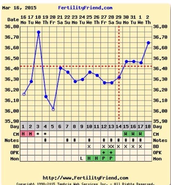 The Bumsnet/Angry Pubes Bus