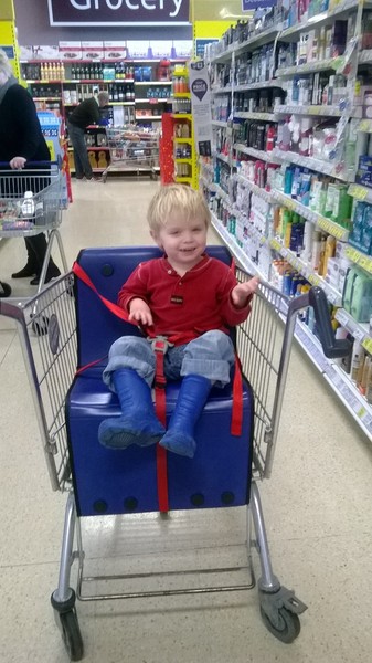 aibu to hate seeing kids sitting in shopping trollies?