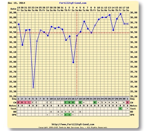 The Angry Pubes of Bumsnet