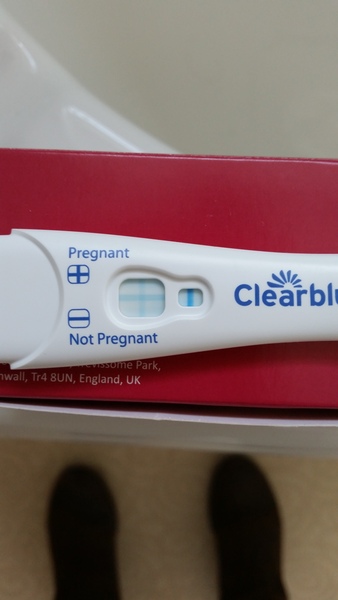 Our new greeting cards are here! We're making vaginal butter and baking in a sneaky shag from behind. Our skittletits can't hold us back - it's JS'ing 43!